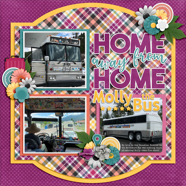 Molly the Bus