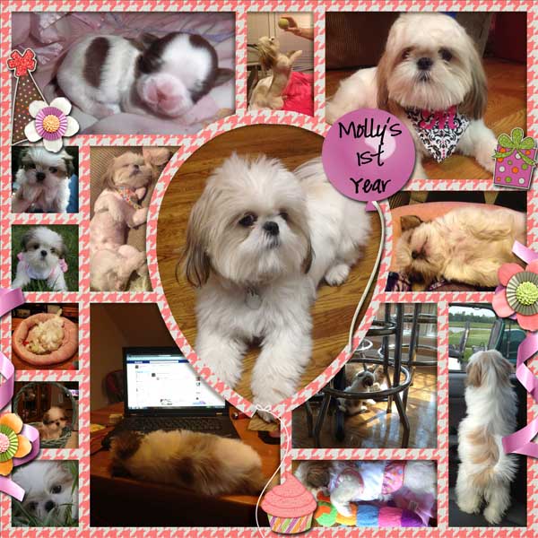Molly's first Year