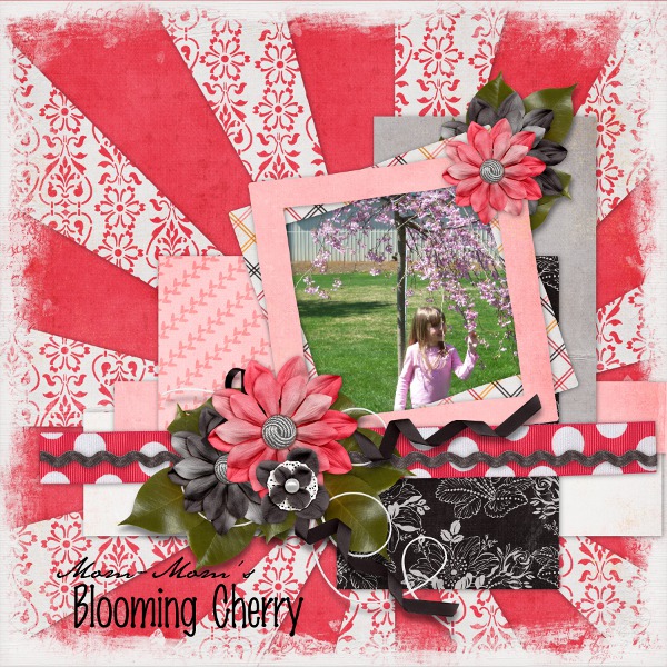 Mom-Mom's Blooming Cherry