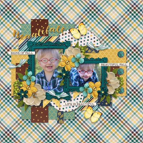 Moments and memories vol 8