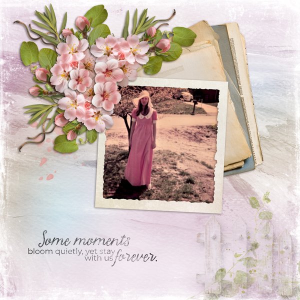 Moments In Bloom-Palvinka.jpg