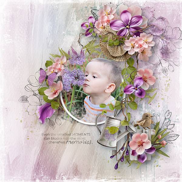 Moments In Bloom