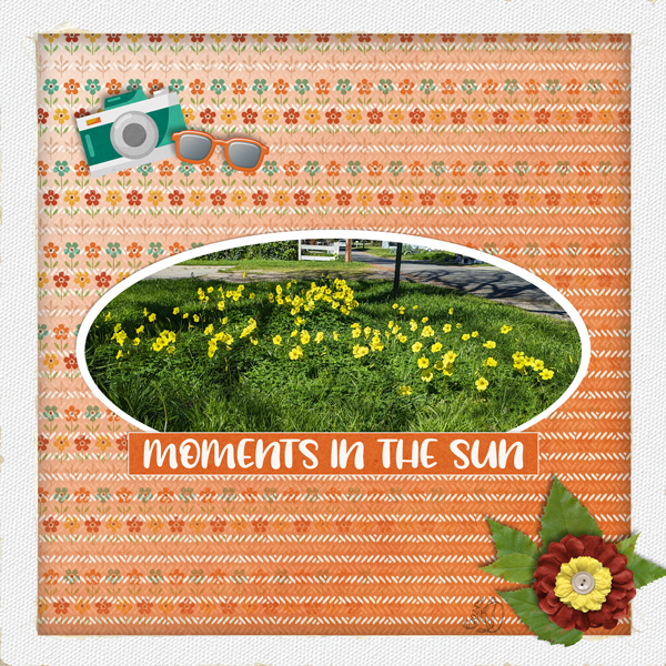 moments in the sun