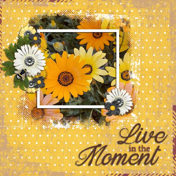 Moments