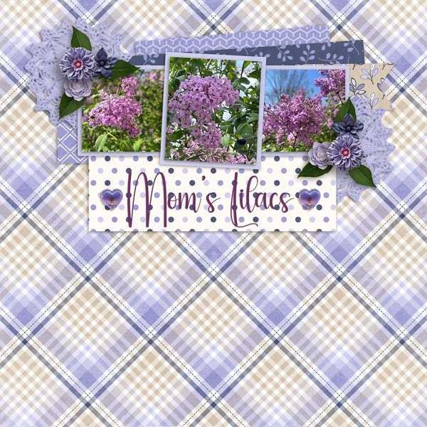 Mom's-Lilacs-web.jpg