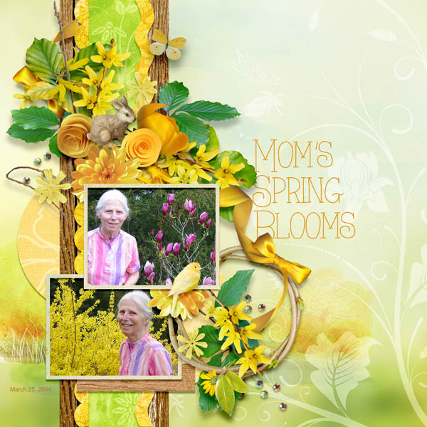 Mom's Spring Blooms