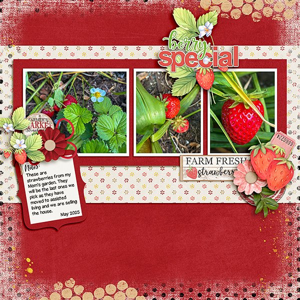 Moms-Strawberries.jpg