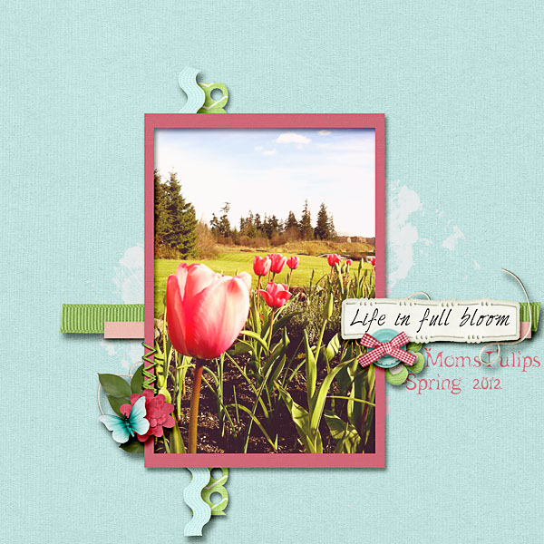 Mom's Tulips
