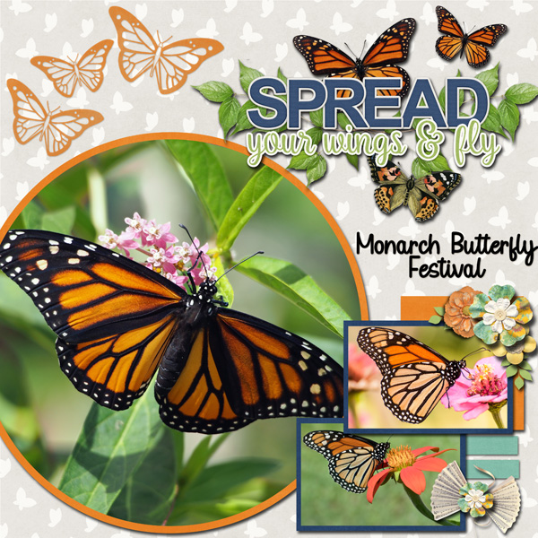 Monarch Butterfly Festival