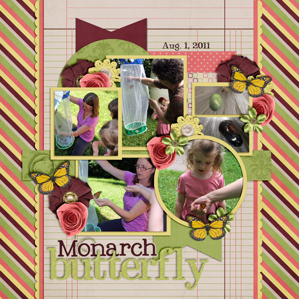 Monarch Butterfly