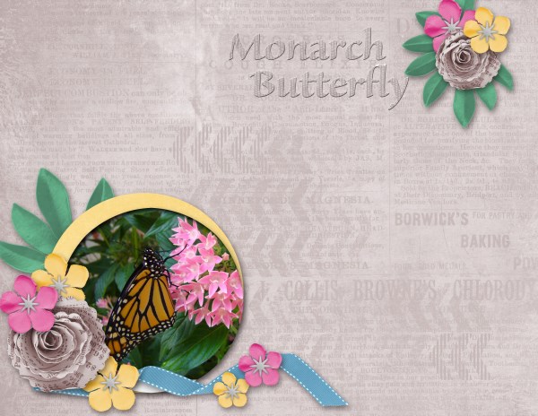 Monarch