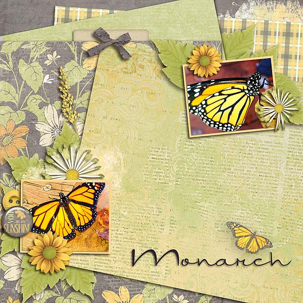 monarch