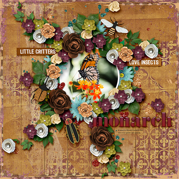Monarch