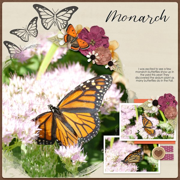 Monarch