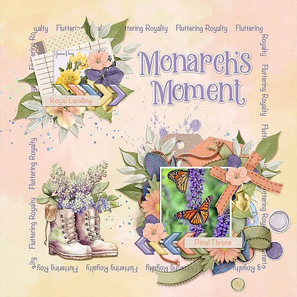 Monarch's Moment