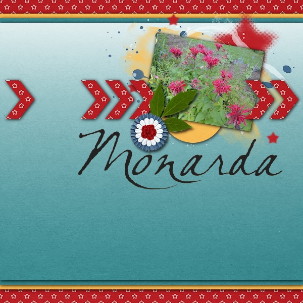 Monarda