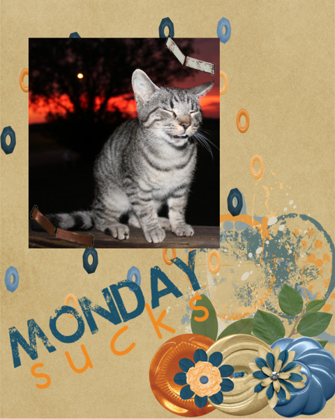 Monday Sucks