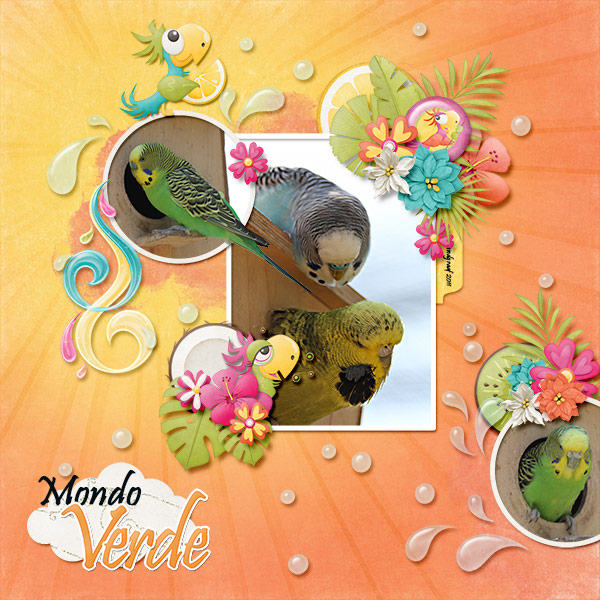 Mondo Verde