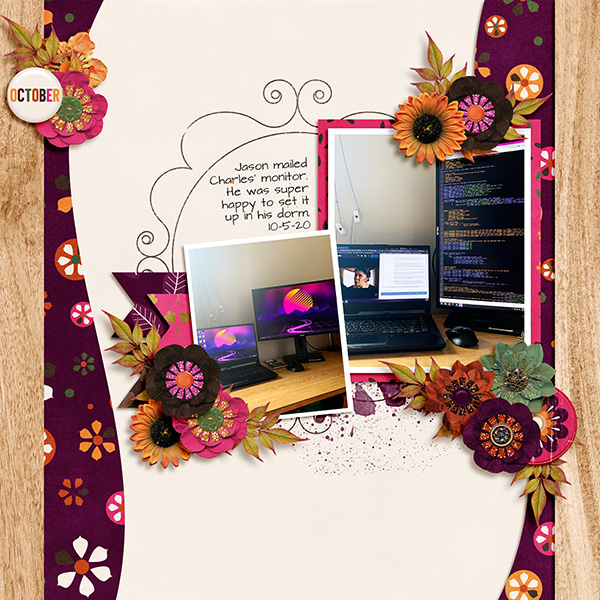 Monitor