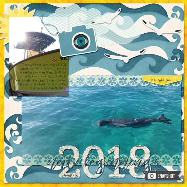 Monk Seal Encounter!