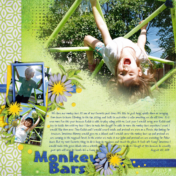 Monkey-Bars-20aug11