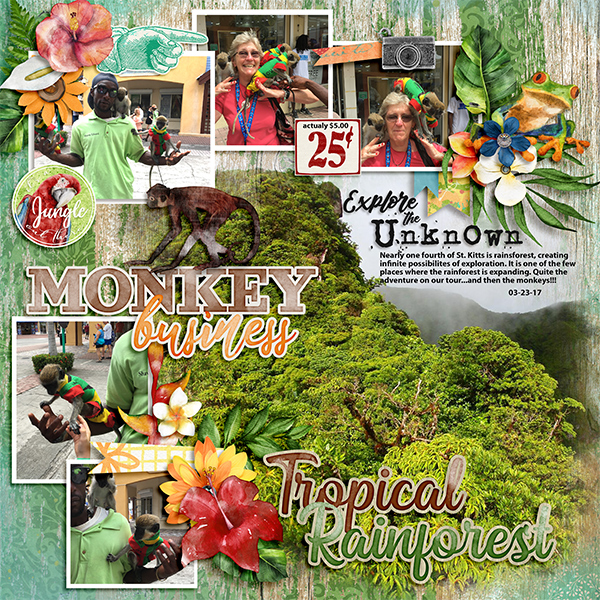 Monkey Business- Tropical Rainforest