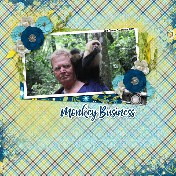 Monkey Business