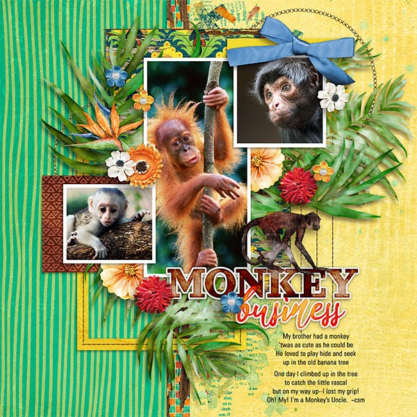 MONKEY BUSINESS
