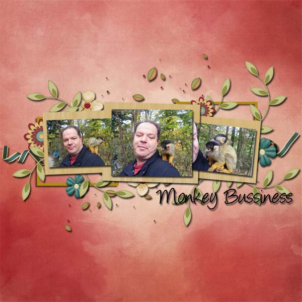 Monkey bussiness