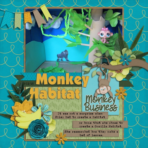 Monkey Habitat