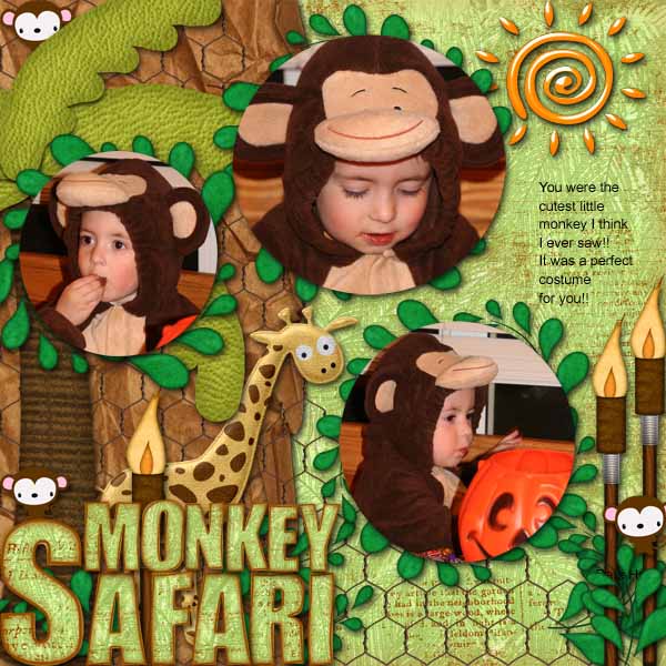 Monkey Safari