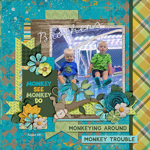 monkey-see-monkey-do-aug17