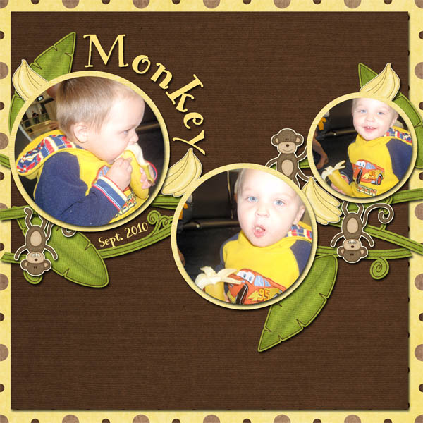 Monkey