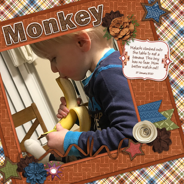 Monkey