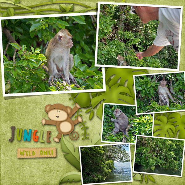 monkeys around