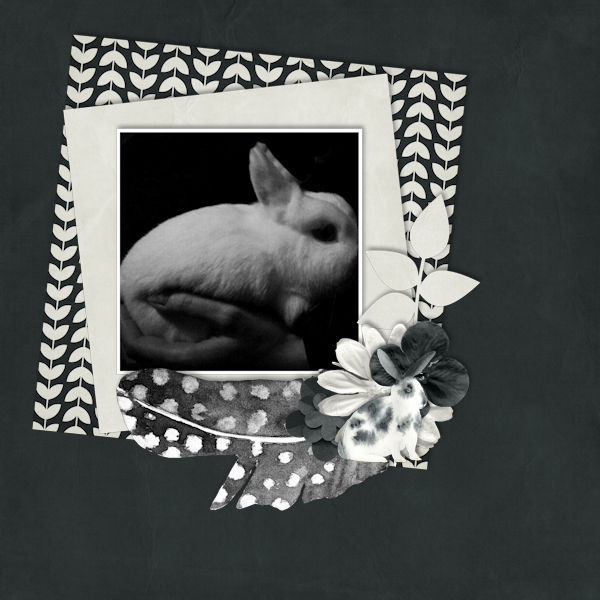 Monochrome Bunny