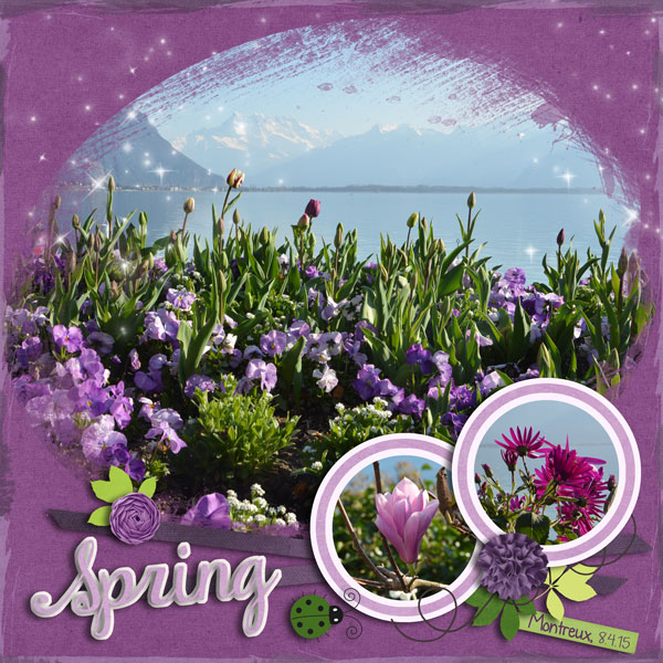 Montreux Flowers