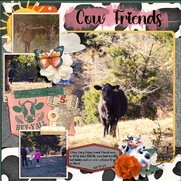 Moo Cows