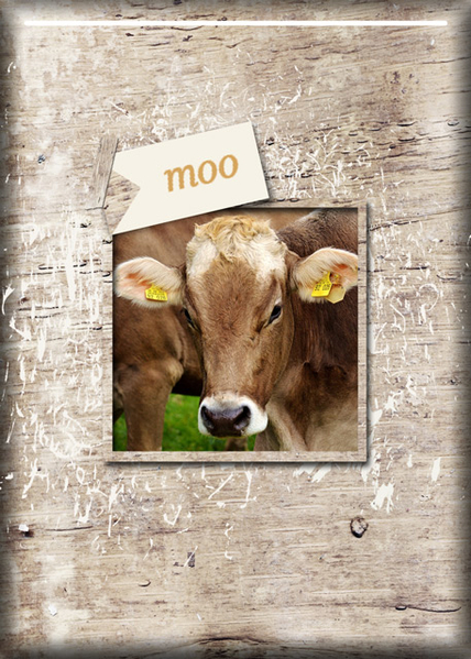 moo