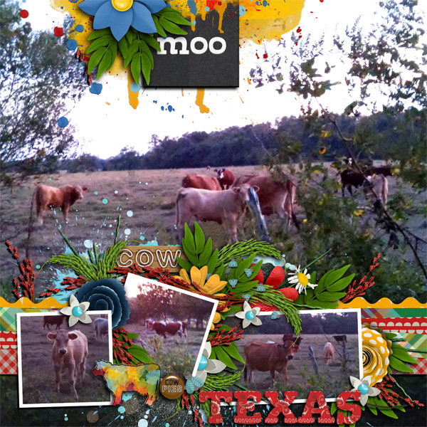 moo