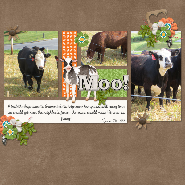 Moo!