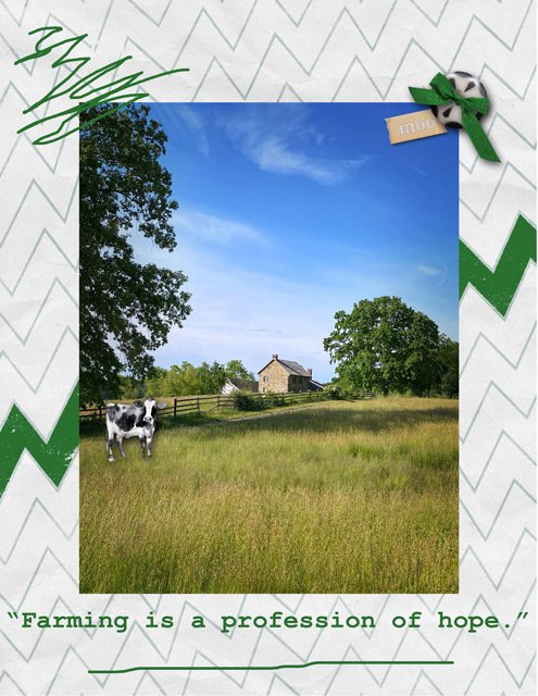 Moo