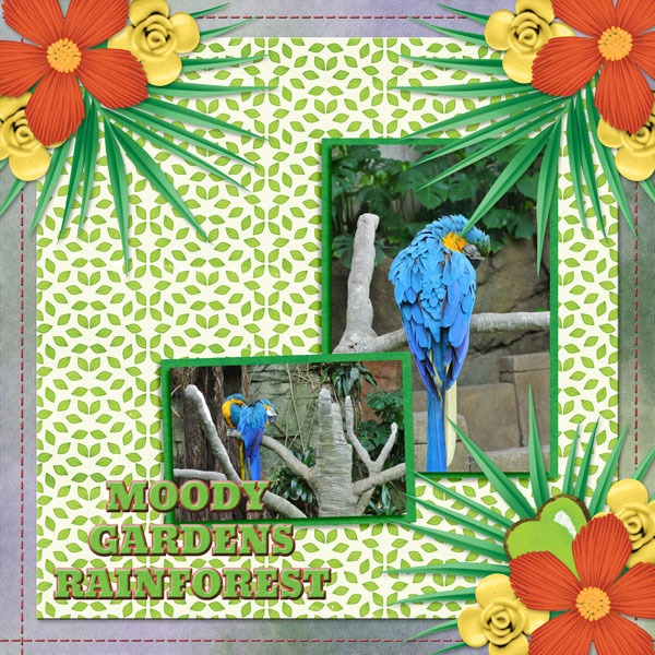 MOODY GARDENS RAINFOREST