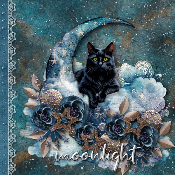 moon cat