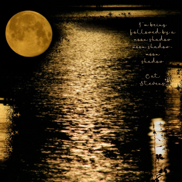 Moon Shadow