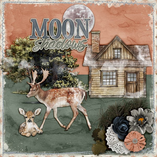 Moon-shadows.jpg