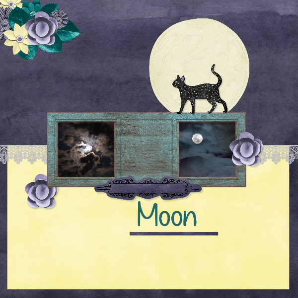 moon8