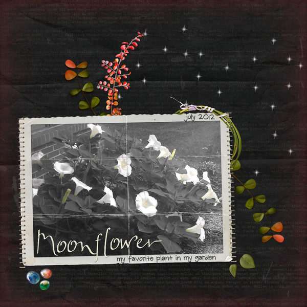 Moonflowers