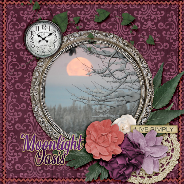Moonlight-oasis