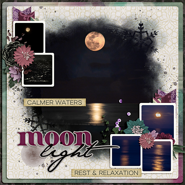 Moonlight Oasis